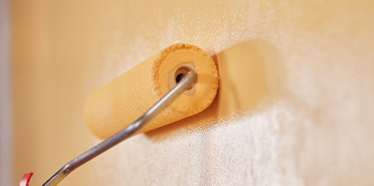 Wall paints and coatings